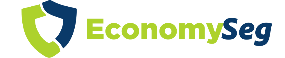 EconomySeg