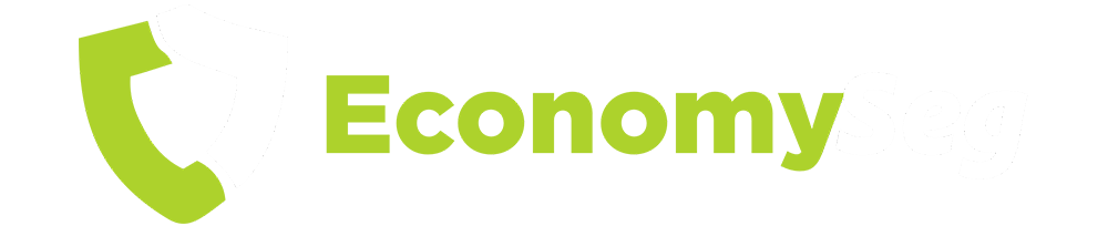 EconomySeg